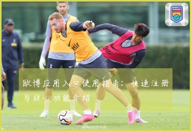 欧博应用入口使用指南：快速注册与核心功能介绍