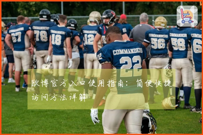 欧博官方入口使用指南：简便快捷访问方法详解