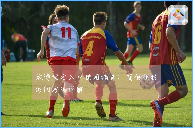 欧博官方入口使用指南：简便快捷访问方法详解